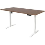 Bureau électrique réglable - 160 x 80 cm - Moteur simple - Blanc/Chêne foncé