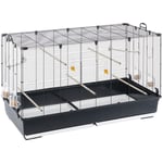 Ferplast - piano 8 Volière Cage à Oiseaux piano 8 : Grande cage avec accessoires pour canaris, perruches, pinsons.. Variante piano 8 - Mesures: 118 x