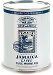 Caffè Corsini -Compagnia dell'Arabica|Café en grains Jamaica Blue Mountain 100% Arabica| Café single origin pour Espresso et Moka, le café de spécialité des hauteurs de la Jamaïque,boîte de1,5 Kg