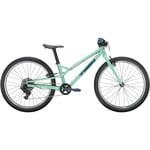 Barncykel Trek Wahoo 24 Path Blue Sage 24-tumshjul 2024