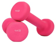 Shengluu Weights Dumbbells Sets Women Cast Iron Hex Color Dumbbells For Women And Men For Core And Strength Training (Color : Pink, Size : 1kgx2)