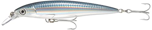 Rapala - Leurre de Pêche X-Rap Saltwater - Matériel de Pêche pour les Gros Prédateurs - Leurre Pêche Mer Tout Poisson - Profondeur de Nage 1.2-2.4m - 12cm / 22g - Fabriqué en Estonie - Baitfsh