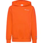 Champion ICONS Hoodie Gutt