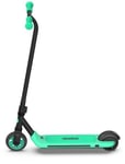 Sähköpotkulauta Segway AA.00.0011.62