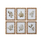 Home ESPRIT Tableau Vert Beige doré Plantes botaniques 28 x 2,8 x 36 cm (6 unités)