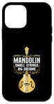 iPhone 12 mini Mandolin Small Strings Big Dreams Festival Case