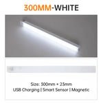 White Light 30CM indoor lighting Bande Lumineuse LED Sans Fil avec Capteur de Mouvement, Rechargeable par USB, Luminaire Décoratif d'Nik, Idéal pour une Armoire, une Cuisine ou une Chambre à Coucher, 10/20/30/50cm ""Nipseyteko