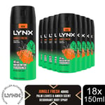 Lynx Body Spray 48-Hour High Definition Fragrance Deodorant For Men 150ml, 18pk