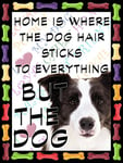 Shawprint Border Collie Dog Fridge Magnet 100mm x 75mm HOME IS WHERE THE DOG HAIR STICKS TO EVERYTHING BUT THE DOG Novelty Gift