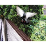 Bosmere barrière Anti-Pigeon