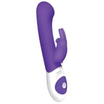 USB Rechargeable Purple The G-Spot Bunny Multi Function Rabbit Vibrator/Vibe