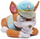 PAW Patrol Calm Chase 48cm Weighted Plush