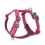 Dog Copenhagen Comfort Walk Air Harness Wild Rose 2024 - XS