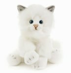 Plush & Company 15966 Peluche Chat Blanc H 30 CM Blanc Cat