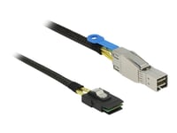 Delock - Sas-Kabel Intern Till Extern - Sas 6Gbit/S - 36 Pin 4X Mini Sas Hd (Sff-8644) (Hane) Till 36 Stifts 4I Mini Multilane (Hane) - 1 M