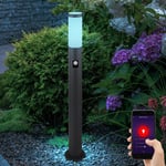 Lampe de jardin avec détecteur de mouvement anthracite Smart led lampadaire de jardin en acier inoxydable éclairage de chemin de jardin, changement