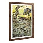 Big Box Art Framed Print of Vintage Animals. Reptiles & Fish of The Tropics Design | Wall Art Picture| Home Decor for Kitchen, Living Room, Bedroom, Hallway, Walnut, A2 / 24.5x18 Inch / 62x45cm