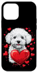 Coque pour iPhone 12 mini Coeurs de Bichon Frisé pour la Saint-Valentin