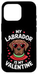 iPhone 16 Pro Chocolate Labrador My Valentines Hearts Day Dog Mom Dad Case