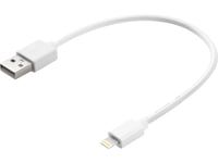 Sandberg Lightning-kabel - Lightning / USB - 20 cm