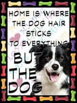 Shawprint Border Collie Dog Fridge Magnet 100mm x 75mm HOME IS WHERE THE DOG HAIR STICKS TO EVERYTHING BUT THE DOG Novelty Gift