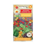 Anti Mosquito Seed Mix - Naturlig myggmiddel med aromatiske blomster og urter