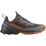 Salomon Cross Over 2 GTX, Herre Magnet/Phantom/Spice 45 1/3