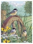 Janlynn Meadow's Edge Cross Stitch Kit-11-inch x inch 14 Count, Other, Multicoloured, 21.59x28.19x1.27 cm