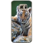 Samsung Galaxy S6 Läpinäkyvä Puhelinkotelo Tiger