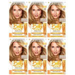 6 x Garnier Belle Color Permanent Colour 7.3 Natural Dark Golden Blonde