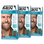 Just For Men Formule Coloration Moustache Et Barbe Châtain, Élimine Les Poils Gris Pour Un Rendu Plus Épais, M35, Lot de 3