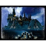 Harry Potter - 3D Image Puzzle 500pc Hogwarts Night - New Toys  Games - T300z