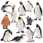 toymany Lot de 12 Figurines d'animaux Pingouin Antarctique - Polar - Jouet d'hiver - Petits Animaux - Animaux en Plastique - Figurine réaliste - pour Jouer ou comme décoration