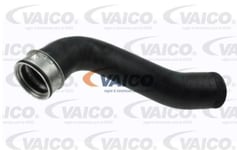 Turboslang Vierol - VW - Golf, Passat, Golf v, Touran, Beetle, Golf plus, Scirocco, Eos, Cross-touran, Jetta v, Jetta vi, Cross-golf