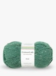 West Yorkshire Spinners ColourLab Aran Knitting Yarn, 100g