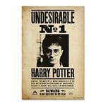 Grupo Erik - Poster Harry Potter Undesirable N1 - Deco Maison, Decoration Murale, Affiche Décorative