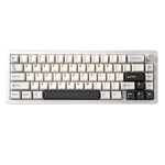 YUNZII AL66 Clavier Mécanique sans Fil, 65% Bouton de Commande en Aluminium Jeu Clavier Bluetooth / 2.4G / Filaire Hot Plug Switch, Clavier RGB pour Win/Mac (Interrupteur à Lait, Argent)