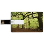 4G USB Flash Drives Credit Card Shape Woodland Decor Memory Stick Bank Card Style English Woodland Scene with Light Coming though the Trees Magical Mother Nature Theme,Green Brown Waterproof Pen Thum