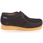 Chaussures bateau Sebago  Baskets Koala Homme - Marron