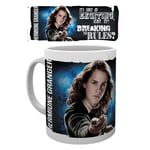 Harry Potter - Dynamic Hermione - Mugg multifärg