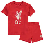 Liverpool Football T-Shirt Set (Size 3-6M) Kid's Team Print Shorts And Top - New