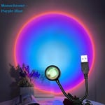 Rainbow Neon LED Night Light Projector USB Sunset Lamp  Night Projector Plug dec