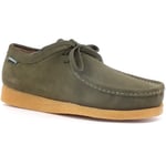 Chaussures Sebago  Koala Sneaker Vela Uomo Green Cappero 7001IX0