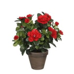 Azalea rouge artificiel 20 x h.27 cm en pot Stan gris ø11,5 cm