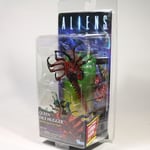 NECA Aliens Queen Face Hugger w Beta 7" Action Figure Collector Series 10 Doll