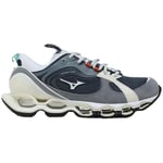 Chaussures Mizuno  Wave Prophecy Beta 2