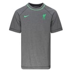 Liverpool T-Skjorte Travel - Grå/Poison Green - Nike, størrelse Medium