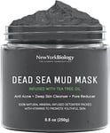 New York Biology Dead Sea Mud Mask for Face and Body Infused with Tea Tree - Spa Quality Pore Reducer for Acne, Blackheads and Oily Skin - Tightens Skin for A Healthier Complexion - 250 g