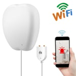 Water Leak Detector Wireless Alarm App Remote Alarm For Kitchen Livi Set