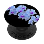 Magnifique orchidée bleue Phalaenopsis en forme de mania PopSockets PopGrip Adhésif